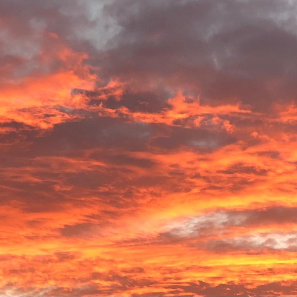 Meet your Posher, Jacqueline